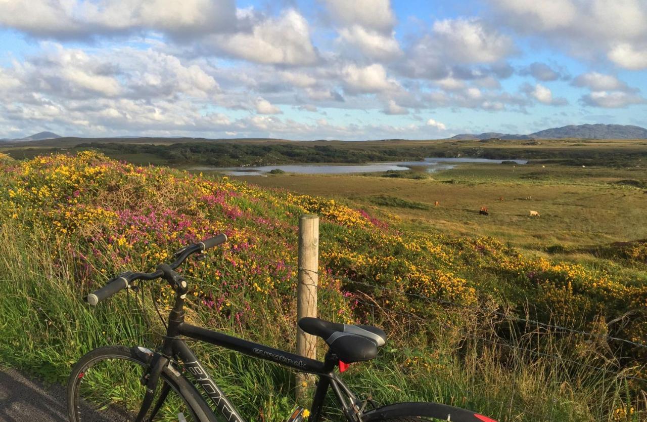 Cabin 438 - Clifden Eksteriør billede